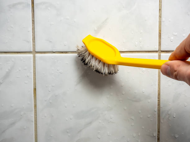 Best Emergency Mold Remediation in Haysville, KS